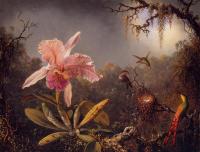 Heade, Martin Johnson - Cattleya Orchid and Three Brazilian Hummingbirds